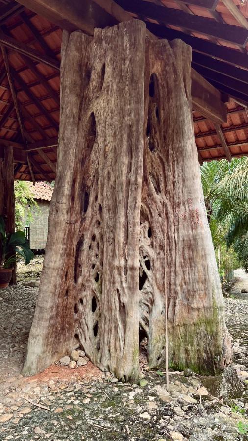 Sahom Valley Resort Jeram  ภายนอก รูปภาพ